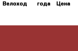 Велоход 2-3 года › Цена ­ 2 000 - Алтайский край Дети и материнство » Детский транспорт   . Алтайский край